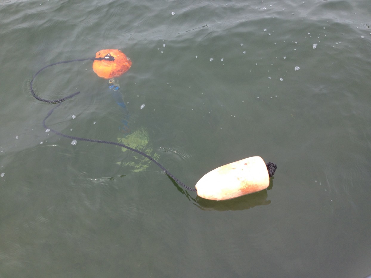 Water probe deployed