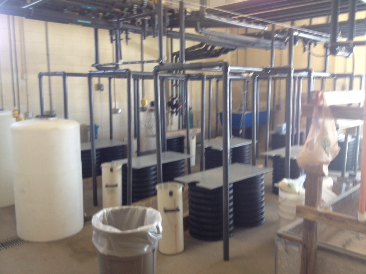 Just the stands and the prototype are where the rearing units will be