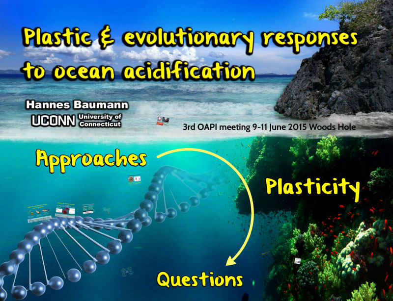 Plastic & evolutionary responses to ocean acidification