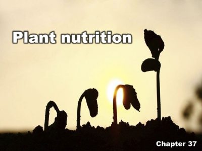 Chapter 37 | Plant nutrition