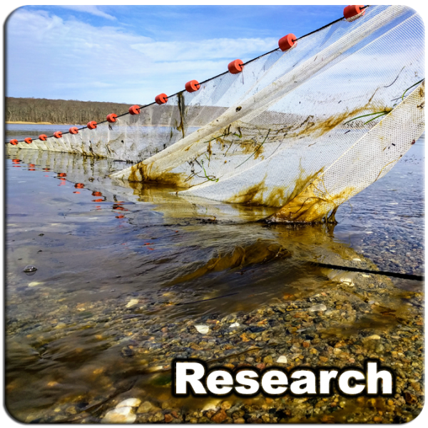 Research_10