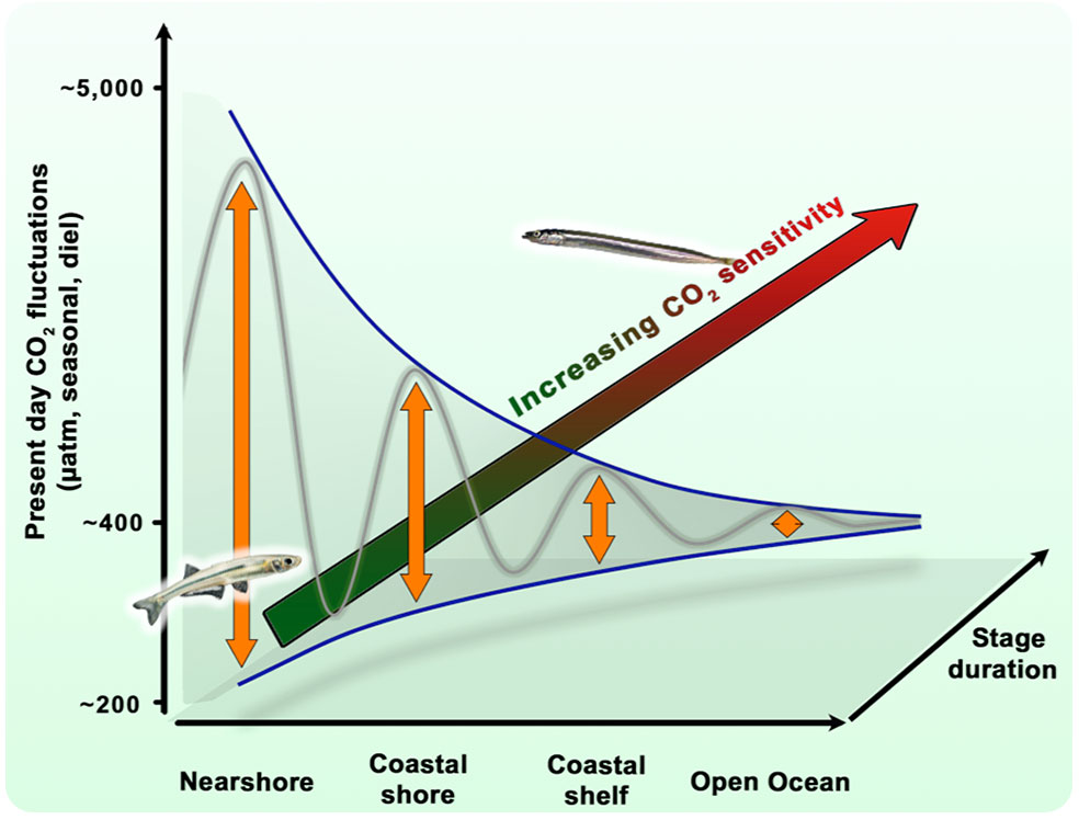 hypothesis marine science