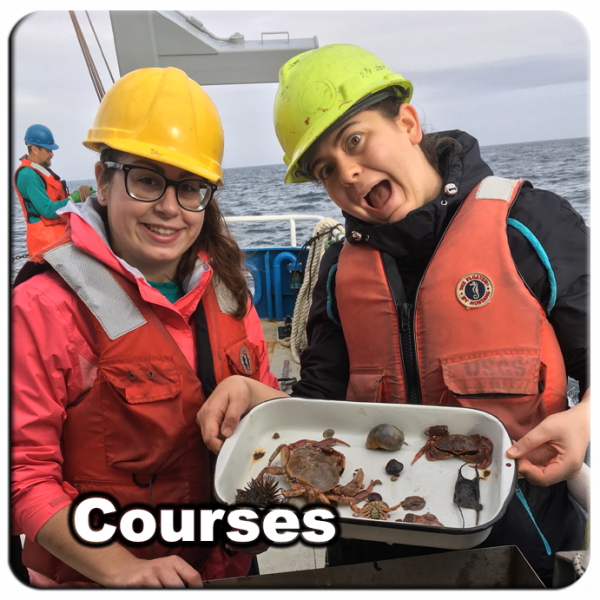 Courses_05
