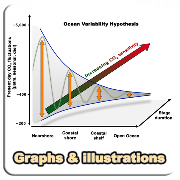 Graphs_01