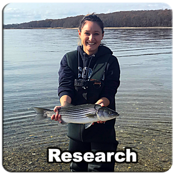Research_09