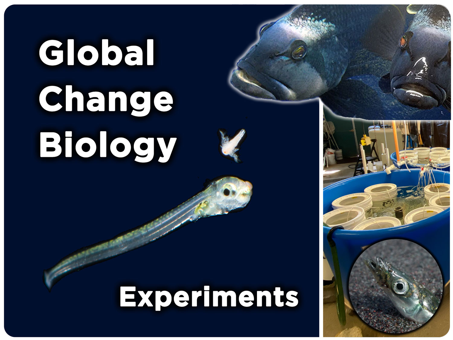 Global-Change-Biology