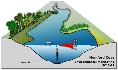 Fig01---Mumford-Cove-sketch
